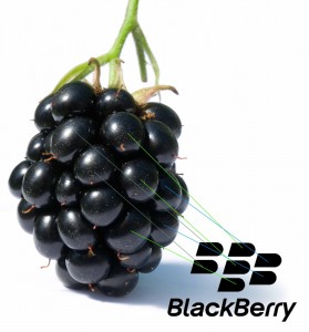 blackberry